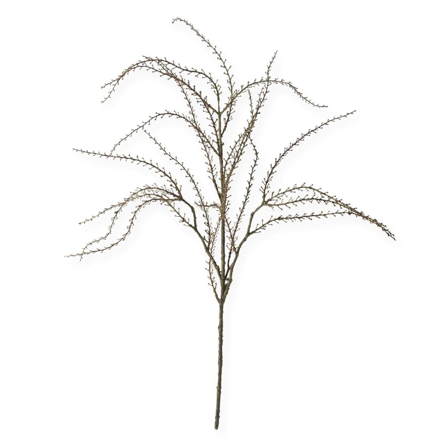 Twig Branch